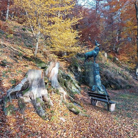 Haus Anastasia Stolberg i. Harz Екстериор снимка